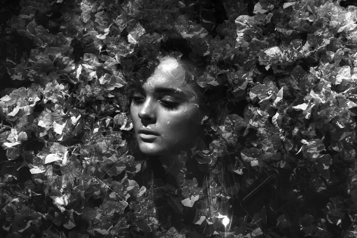 Charlotte Lawrence
